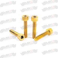 BAUT-HEX-GOLD-copy-2-1LOW