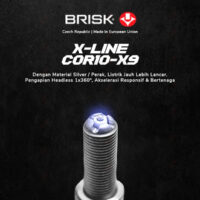 BRISK_COR10-X9-copy-2