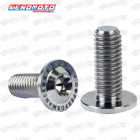 KENDMOTO_BIG-HEAD-TITANIUM-M8X20-35H-copy