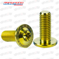 KENDMOTO_BIG-HEAD-TITANIUM-M8X20-35H-copy-4