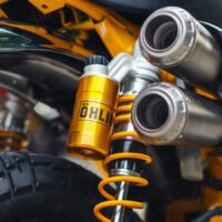 OHLINS_HO819 MONKEY 3 copy 2