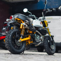 OHLINS_HO819 MONKEY 3 copy