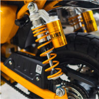 OHLINS_HO819 MONKEY 3 copy 3