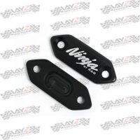 mirror-blanking-zx25r-RG